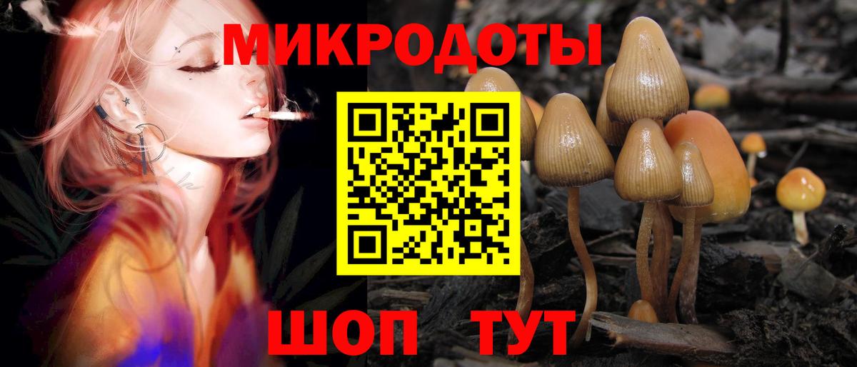 Галлюциногенные грибы ЛСД Карпинск